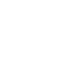 Touch Icon